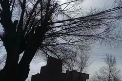 هشدار مدیریت بحران استان تهران در خصوص وزش باد شدید در تهران