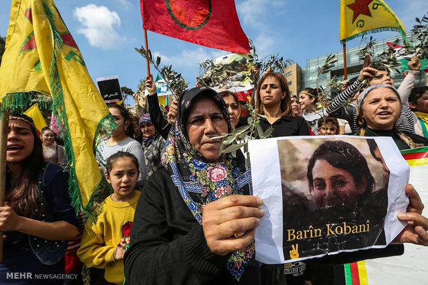 Almanya'da Zetin Dalı Harekatı karşıtı gösteri