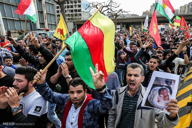 Almanya'da Zetin Dalı Harekatı karşıtı gösteri