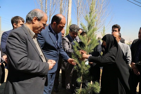 «غرس۴۶۸ اصله نهال» به یاد شهدای گرانقدر ورودی غربی پایتخت