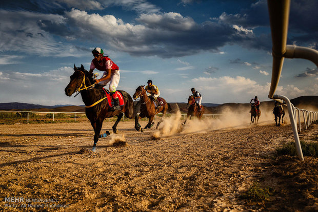 کورس اسبدوانی آذربایجان شرقی