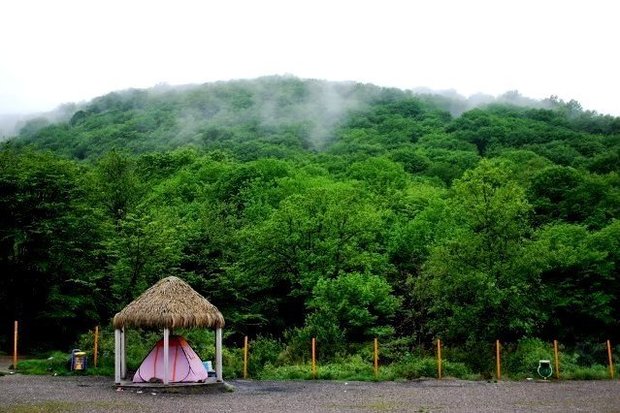 جنگل‌ها و مناطق حفاظت شده گلستان فرصتی برای آرامش گردشگران