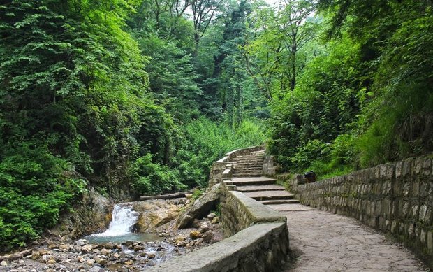 شکارچیان غیرمجاز به پاکسازی زیستگاه‌های گلستان محکوم شدند