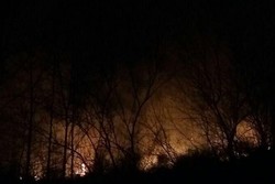 آتش سوزی در ۱۰۰ هکتار از اراضی جنگلی گیلان