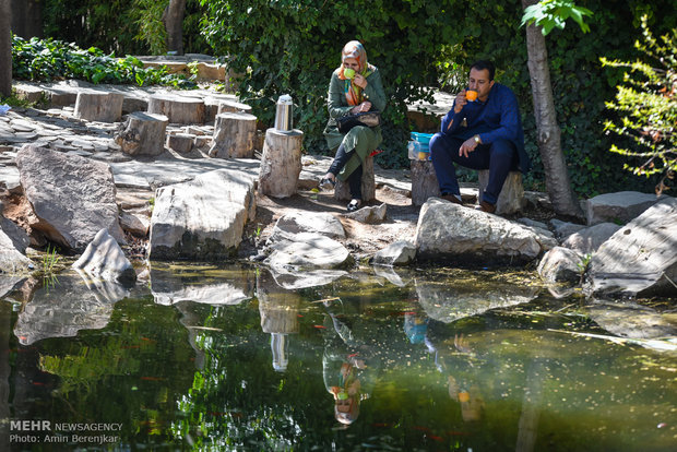 گردشگران نوروزی در باغ ارم شیراز