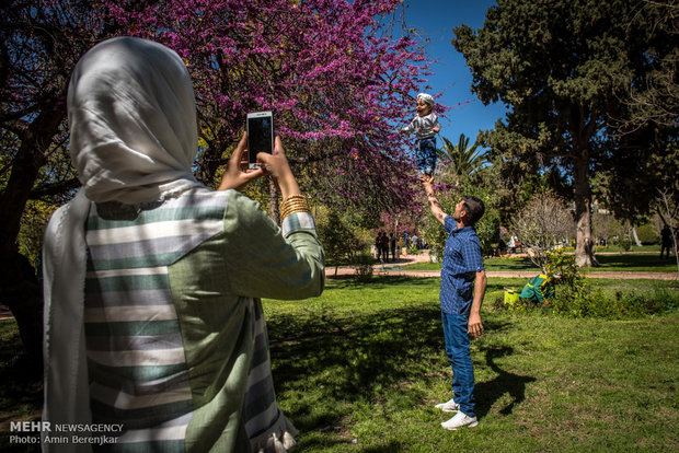 Nowruz tourists in Eram Garden of Shiraz