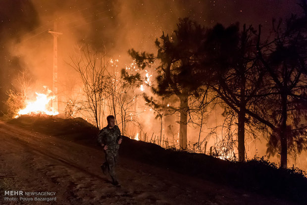 آتش سوزی در جنگل های لاهیجان