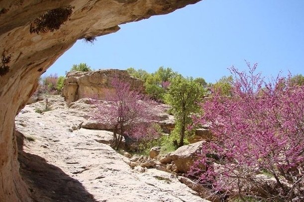 افزایش ۴۰ درصدی حضور مسافران و گردشگران خارجی در ایلام