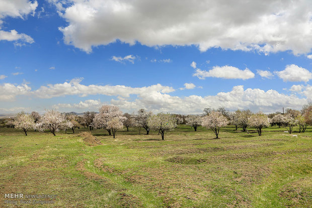 Hamedan's spring nature