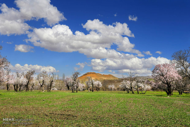 Hamedan's spring nature