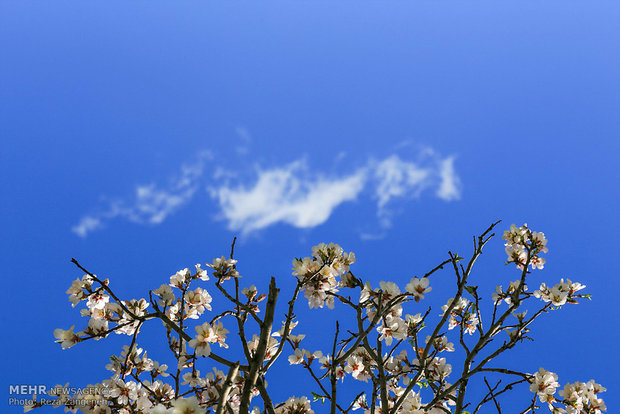 Hamedan's spring nature