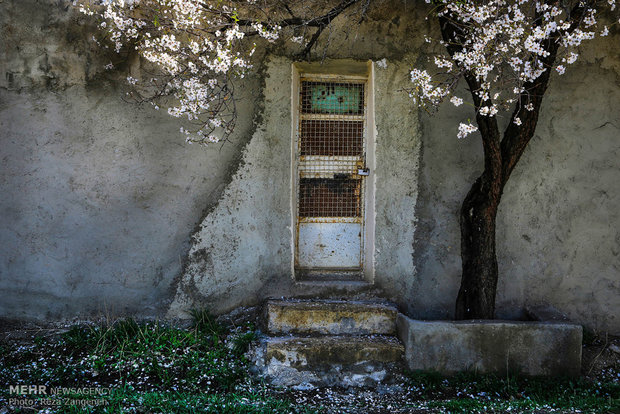 Hamedan's spring nature