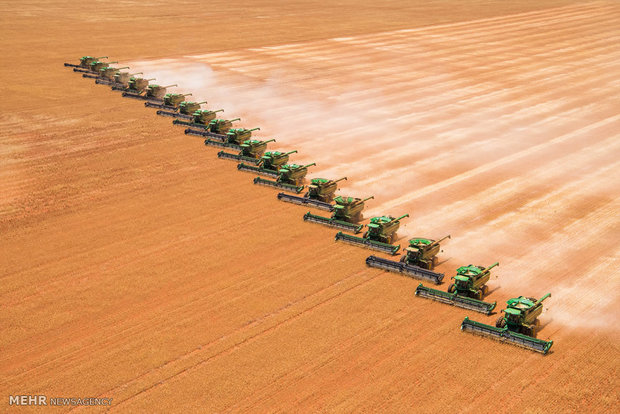 صنعت دامداری و کشاورزی استرالیا