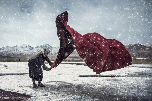 برندگان مسابقه عکاسی سونی 2018