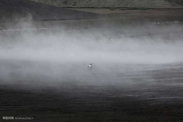 سفر به قطب جنوب‎