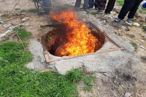 امحاء ۱۱۷ کیلوگرم گوشت کشتار غیرمجاز در ثلاث باباجانی