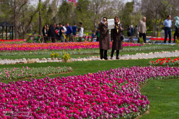 Tulips Festival in Arak