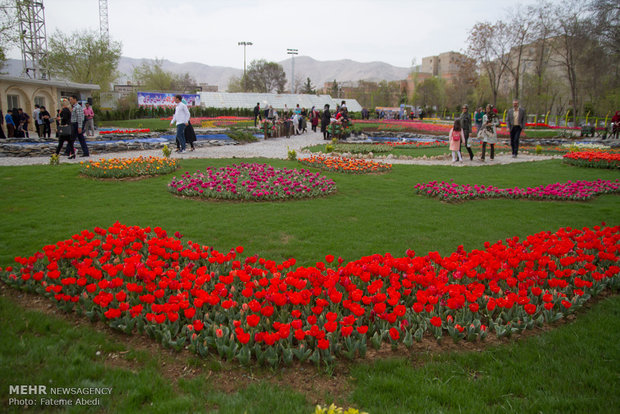 Tulips Festival in Arak