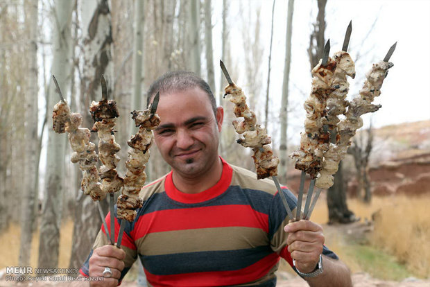 Nature Day in Tehran