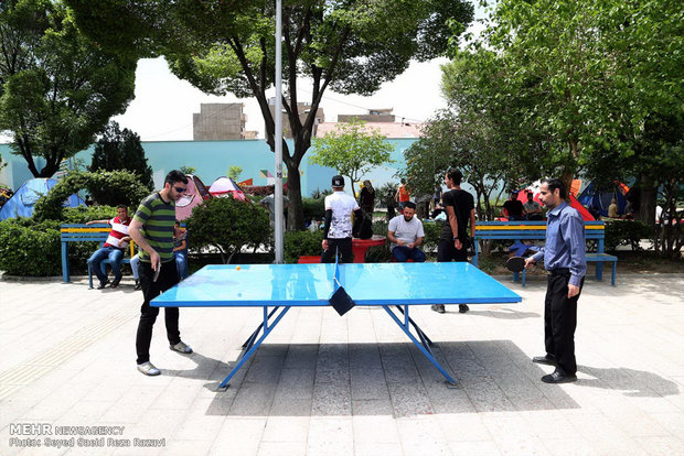 Nature's Day in Tehran