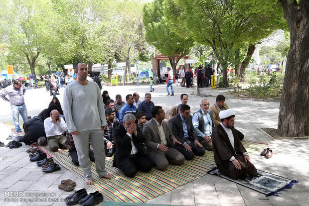 Nature's Day in Tehran