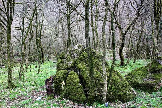 Northern landscapes during spring