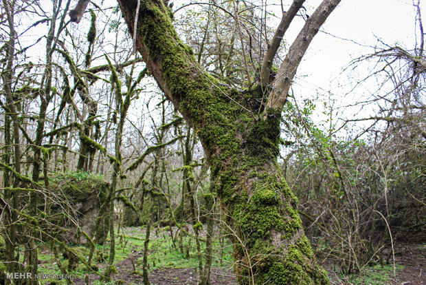 Northern landscapes during spring