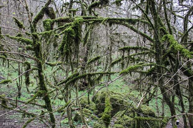 Northern landscapes during spring