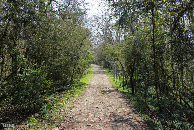 Northern landscapes during spring