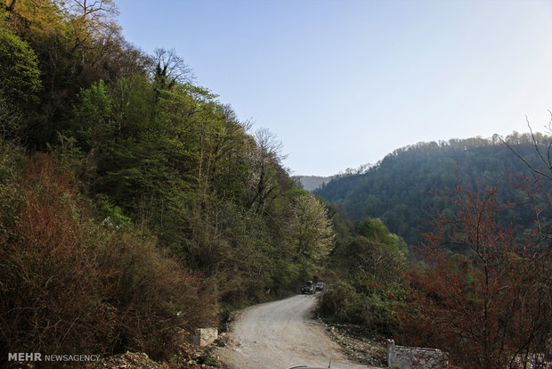 Northern landscapes during spring