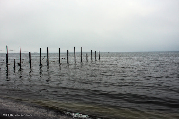 Northern landscapes during spring