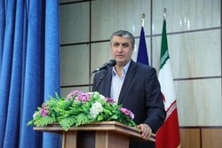 پایانه داری کار دولت نیست/لزوم افزایش سهم ایران در ترانزیت منطقه