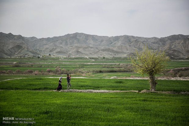 مهران، شکوفه، مهنا؛ روایت رنج و امید