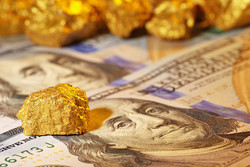 دلار را با پشتوانه«طلا» دلگرم کنید/افت ۳۰ درصدی قدرت خرید