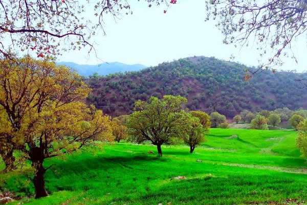 سفر به سرزمین آب‌ها و آبشارها/آبشار یاسوج چشم انتظار مسافران جنوب