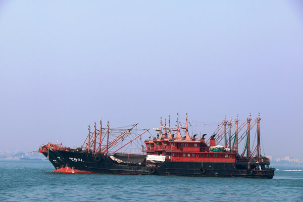 لغو مجوز فعالیت صیادی ۱۶ کشتی ترال در آب‌های ایران