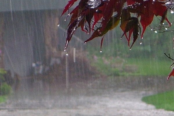 بارندگی در شرق و مرکز کشور/ گرد و خاک در زابل