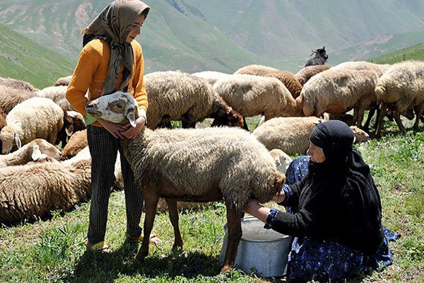 نمایشگاه گروهی عکس «دختران ایل» در فیروزآباد برگزار می شود