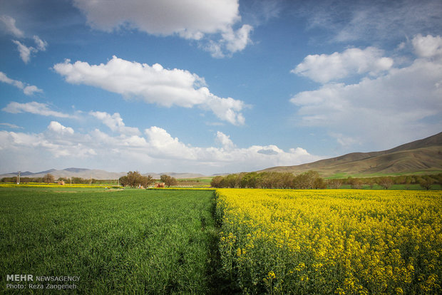 Farms in Tuyserkan