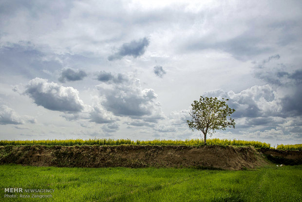 مزارع کشاورزی روستاهای تویسرکان