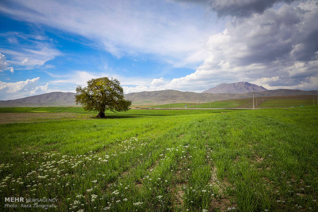 مزارع کشاورزی روستاهای تویسرکان