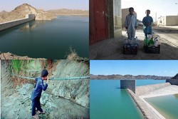 همایش ملی «راهبردهای مدیریت منابع آب» در ساری آغاز شد