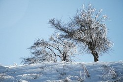 یخبندان دراصفهان از یکم دی/ دما تا ۶ درجه سانتیگراد کاهش می‌یابد