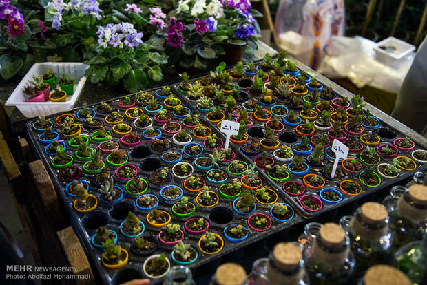 Flowers exhibition in Yazd