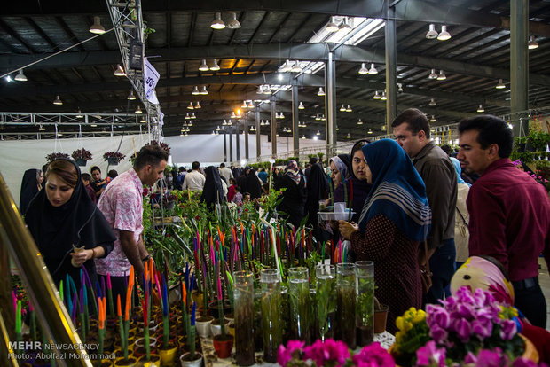 Flowers exhibition in Yazd