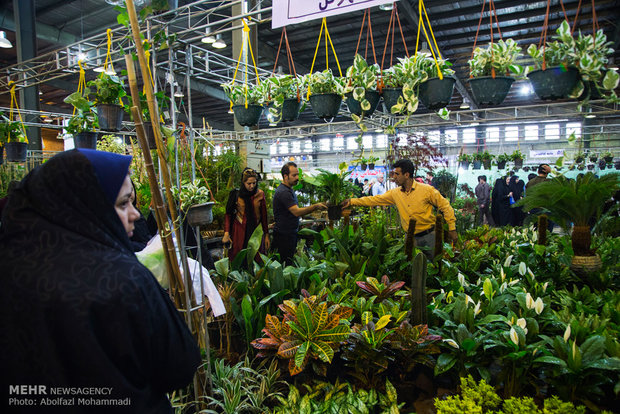 Flowers exhibition in Yazd