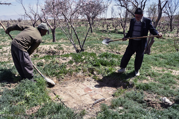 لزوم اجرای طرح روستای بدون بیکار در استان البرز