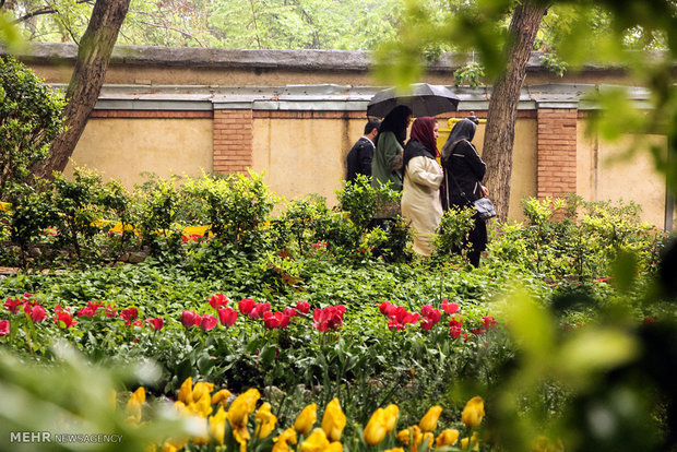 ایرانی باغ میں بارش کا دن