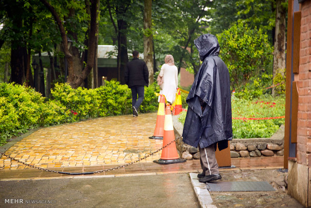 A rainy spring day in ‘Bagh-e Irani’ park