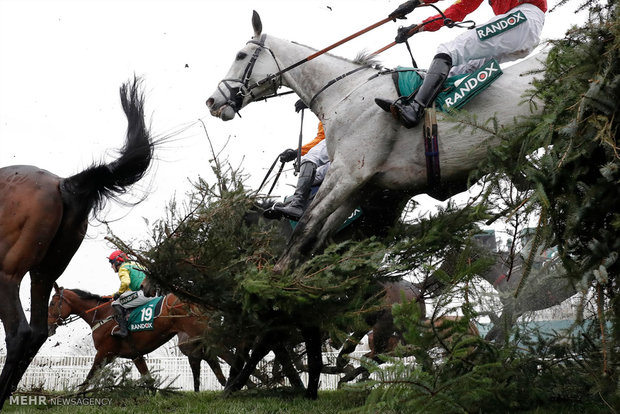 مسابقات اسب سواری اینتری در انگلیس‎